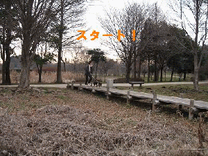 e0162524_2146737.gif