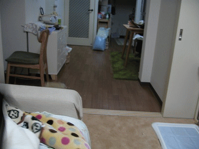 e0162524_21495625.gif