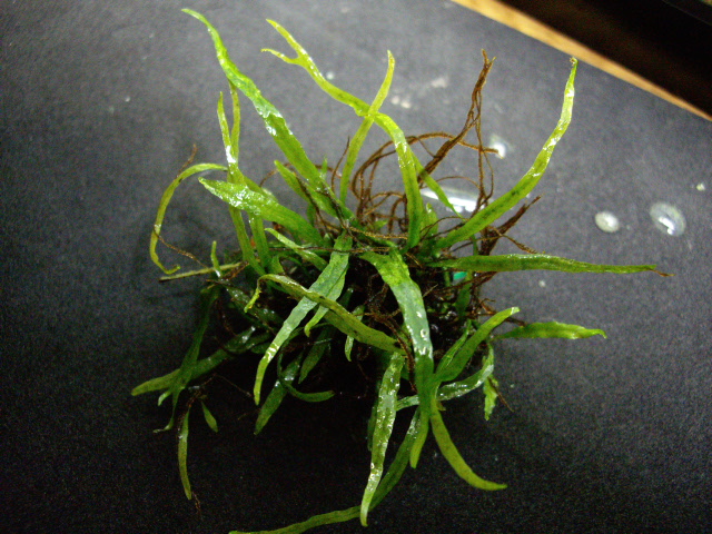 d0150727_23201131.jpg