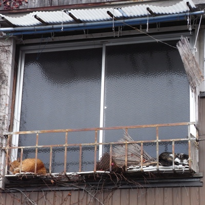 e0166127_22543719.jpg