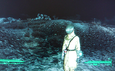 d0087129_1105257.jpg