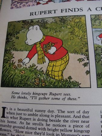 イギリスのRupert 君_d0148729_23164767.jpg