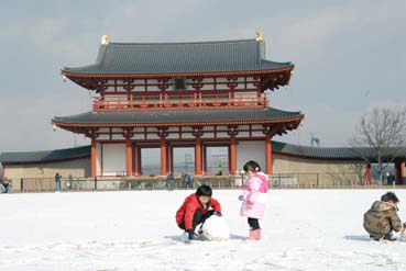 1月25日（日）平城宮跡は雪が降ったり止んだり！_a0100742_20374242.jpg