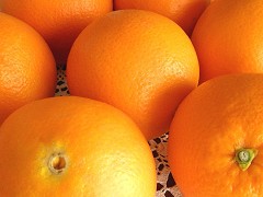 a0089450_13302956.jpg
