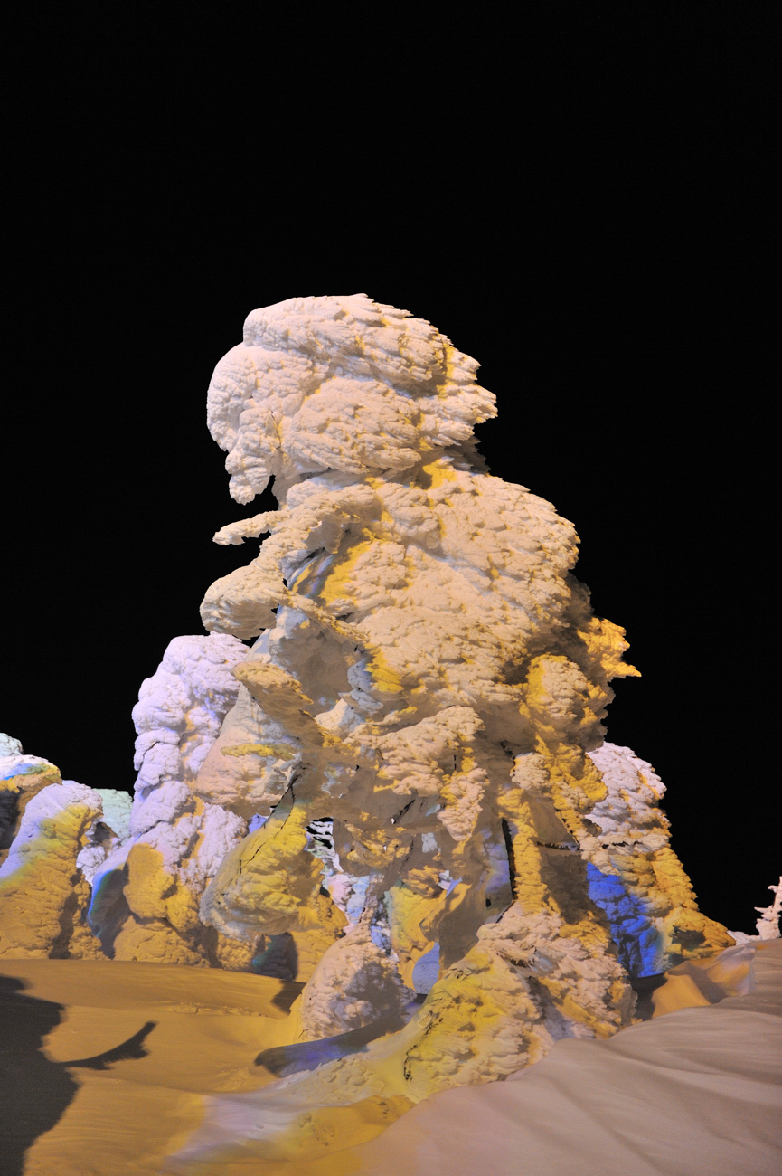 c0109454_12345218.jpg