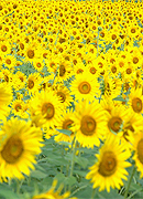 『明日』_d0050155_1627113.jpg