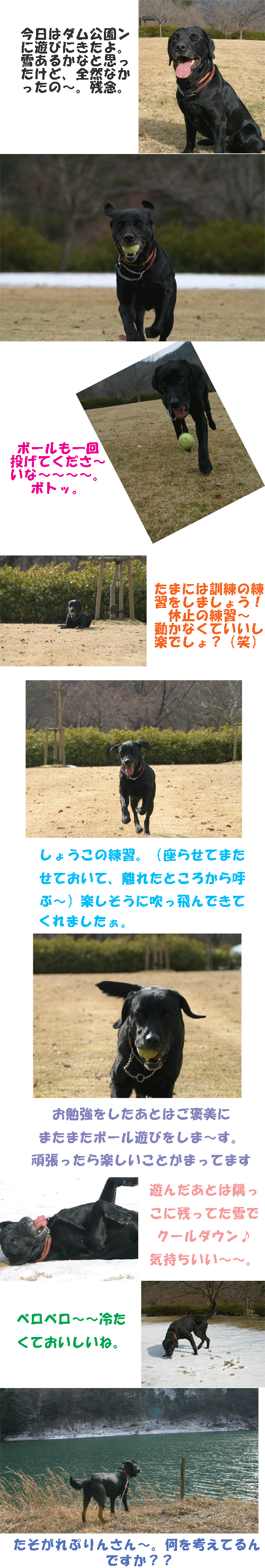 e0149256_14475795.gif