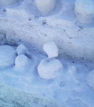 b0159557_1810416.gif
