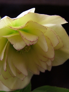 e0118257_2133598.jpg