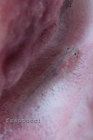 d0056263_128499.jpg