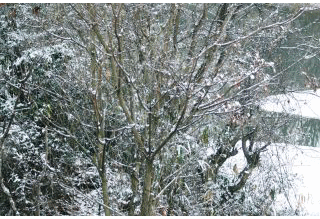 b0120968_15377.gif