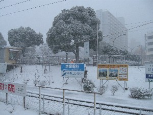 a0095470_237581.jpg