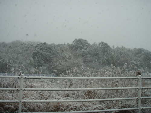 吹雪_a0077071_19125264.jpg