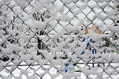 a0020777_955039.jpg