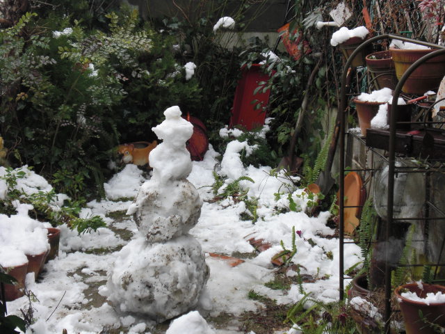 雪・雪・雪ですね＼(^o^)／_f0190577_14322142.jpg