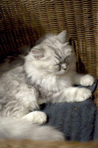 f0003598_19221629.jpg