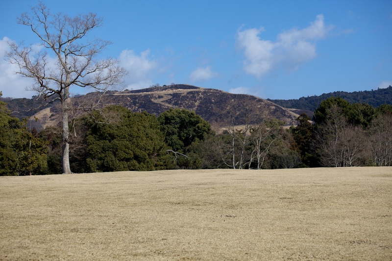 c0043403_0174353.jpg