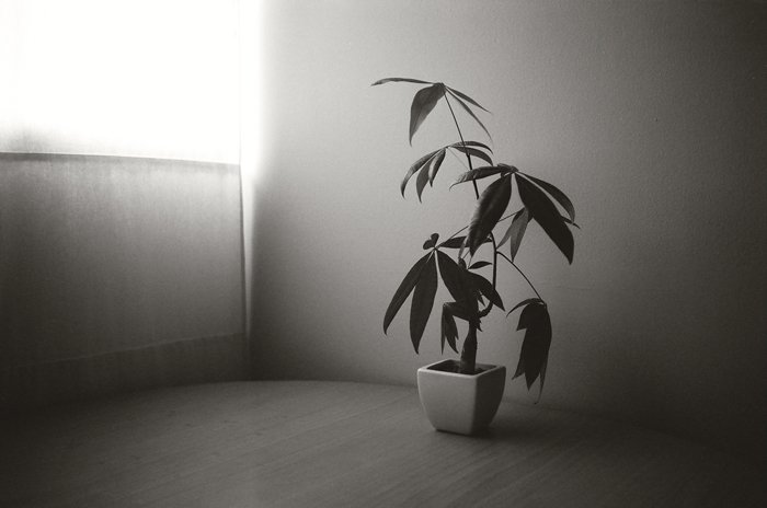 c0120903_1330291.jpg