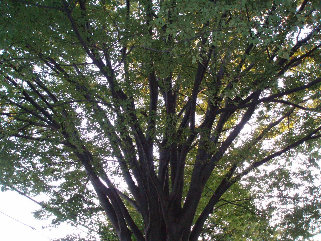 c0098304_23295647.jpg
