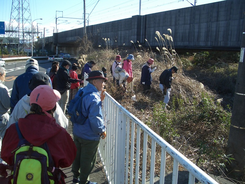 「そうだ！沼川プロジェクト」　川沿いウォーキング　その1_f0141310_233781.jpg