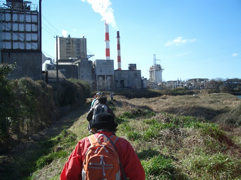 「そうだ！沼川プロジェクト」　川沿いウォーキング　その1_f0141310_23383360.jpg