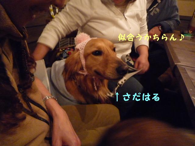 新年会＆バースディ・パーティ♪　in犬茶屋さん_c0159512_13492778.jpg