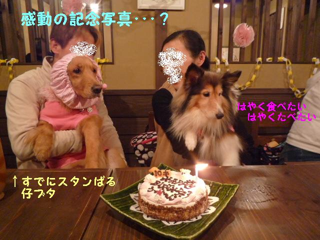 新年会＆バースディ・パーティ♪　in犬茶屋さん_c0159512_1461631.jpg