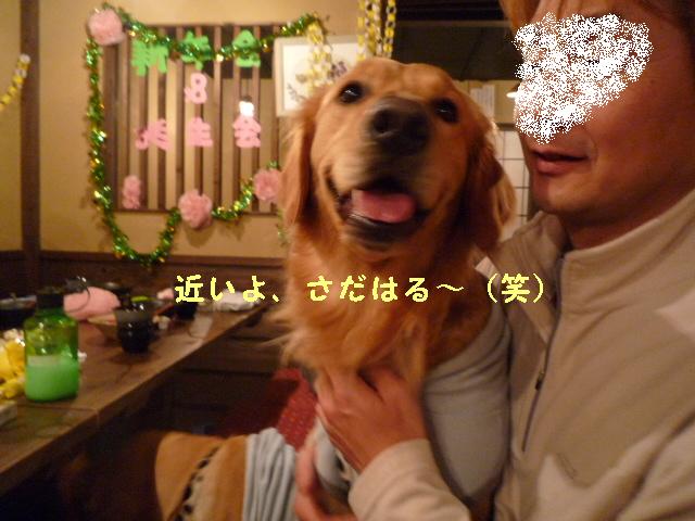 新年会＆バースディ・パーティ♪　in犬茶屋さん_c0159512_149789.jpg