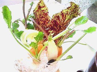 本日も晴天なり_c0116714_219864.jpg