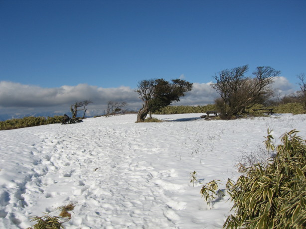 d0103314_12830.jpg