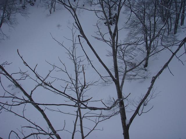 e0067218_80140.jpg