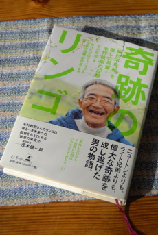 お子様のフォーマル・ドレス_d0127925_10341781.jpg