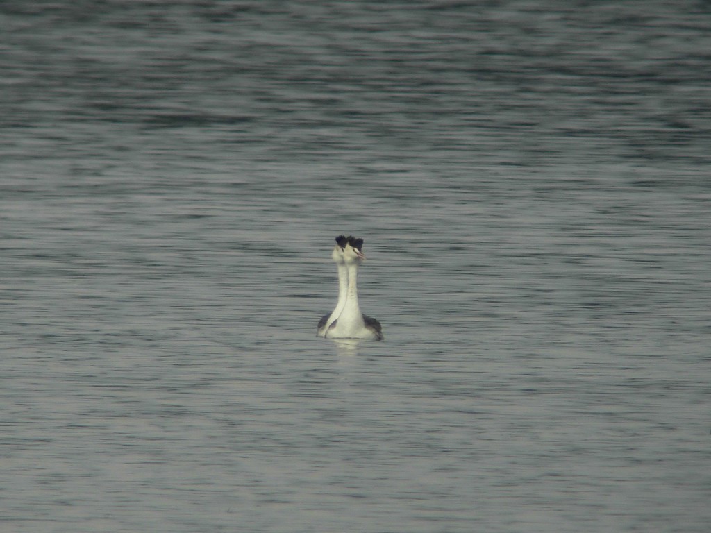 f0148627_21222710.jpg