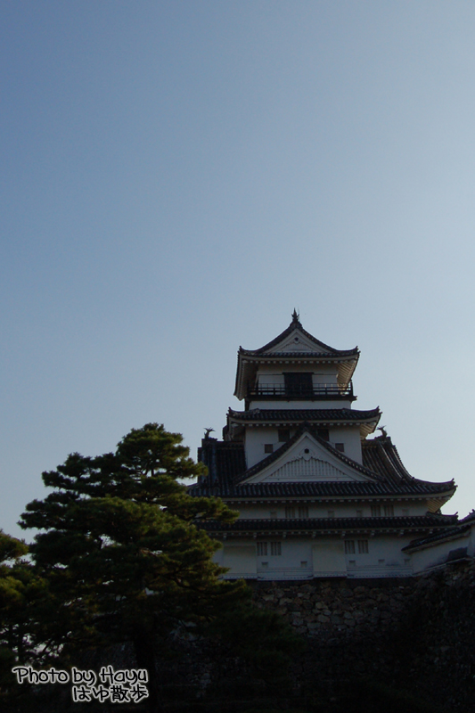a0059328_30563.jpg