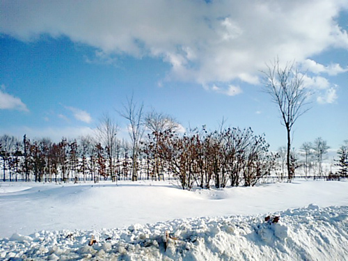 e0037129_1431096.jpg