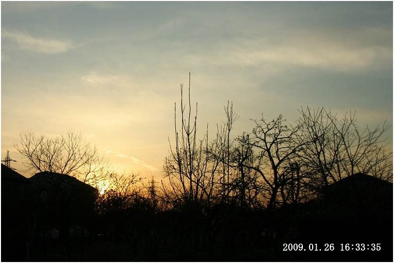 e0052135_21542922.jpg