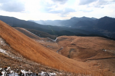 d0055236_12145313.jpg
