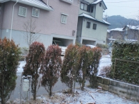 d0151138_9365333.jpg