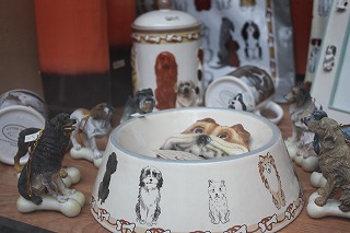 c0153740_422518.jpg