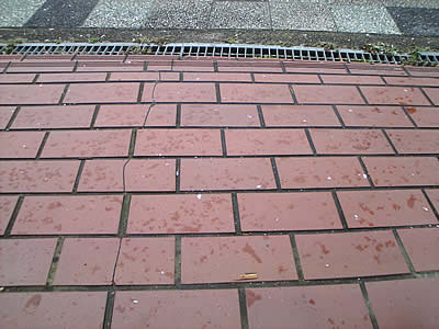 c0181543_06250.jpg