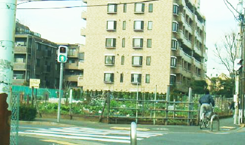 b0147444_18291068.jpg