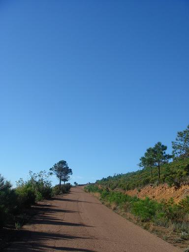 f0194446_0532932.jpg