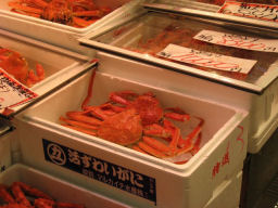 c0073649_23175644.jpg