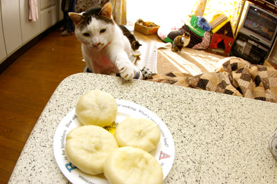 ぶた万くでー！_a0028451_12341879.jpg