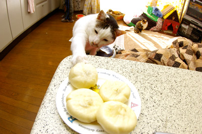ぶた万くでー！_a0028451_12342848.jpg