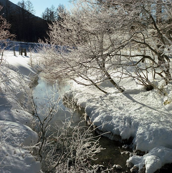 光徳の霧氷・・_f0169053_19261319.jpg