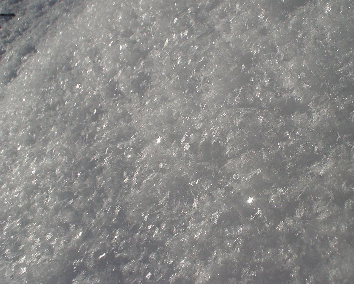 雪_e0166654_13211553.jpg