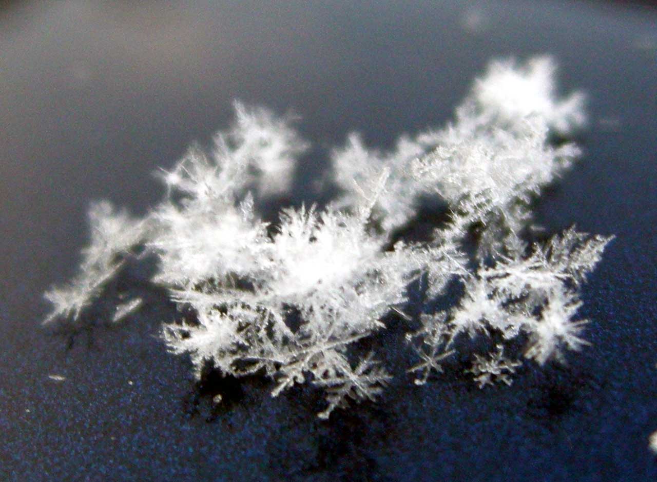 少々冷え込んで・・・・雪の結晶？_f0027355_2119119.jpg