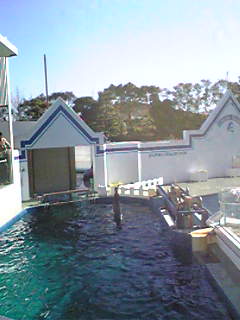 品川水族館_f0090063_122288.jpg