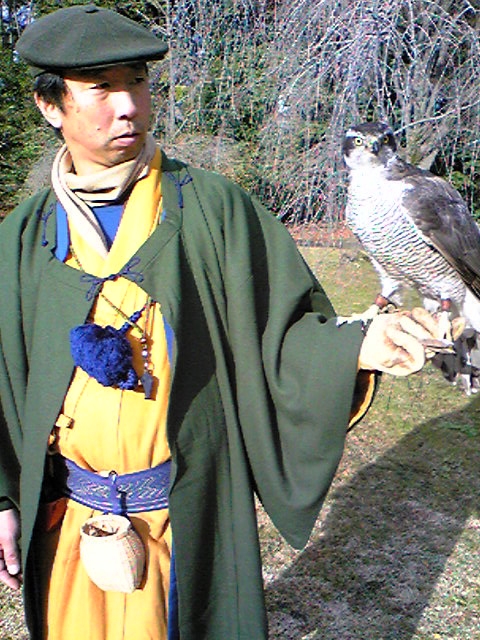 二条城お城まつりの放鷹実演 : 鷹書研究会